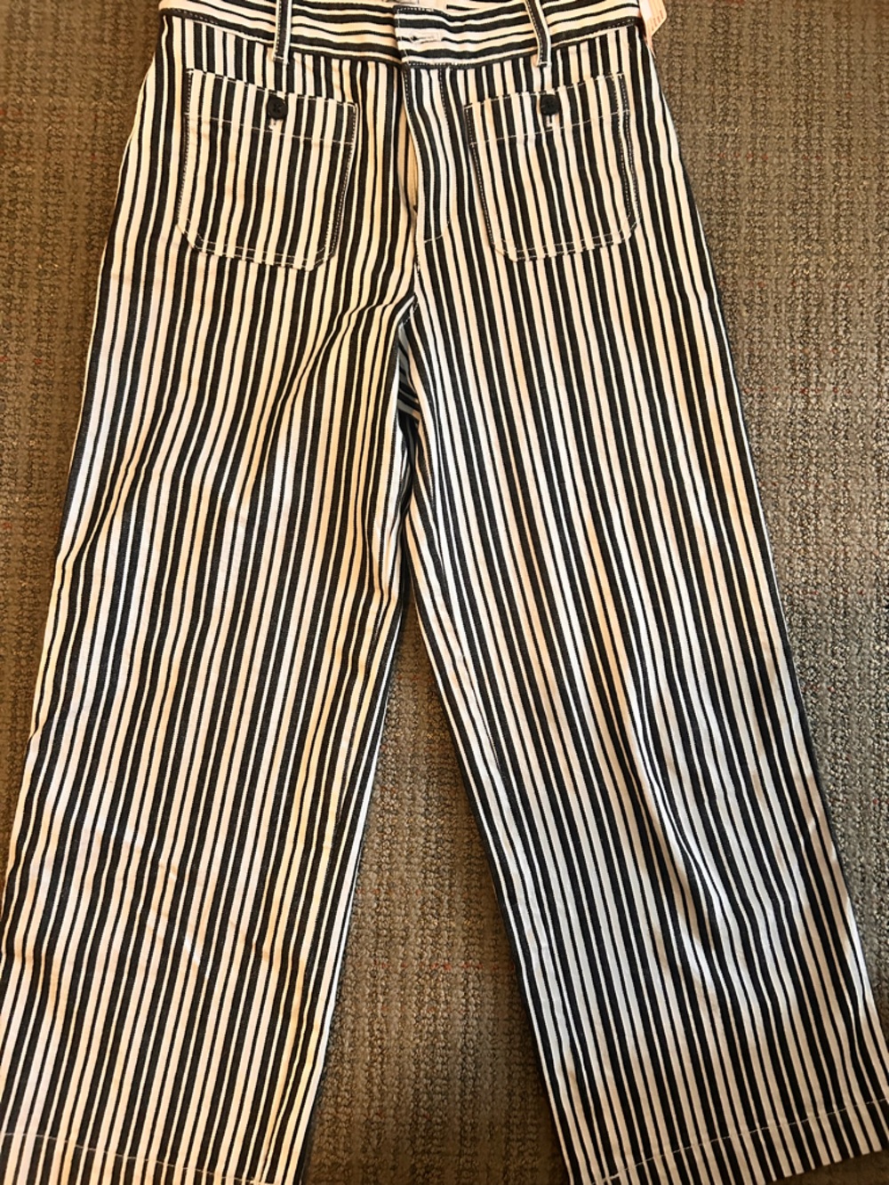 LOFT Black and White Vertical Stripe Chinos